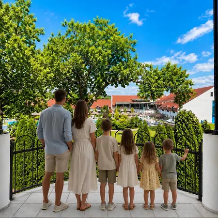 Heviz Springs - Bed and Breakfast 4*