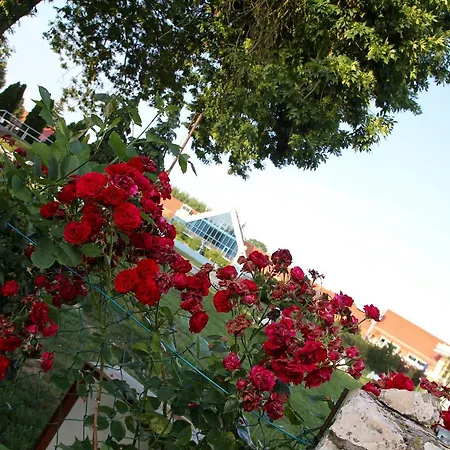 Heviz Springs - فندق مبيت وإفطار